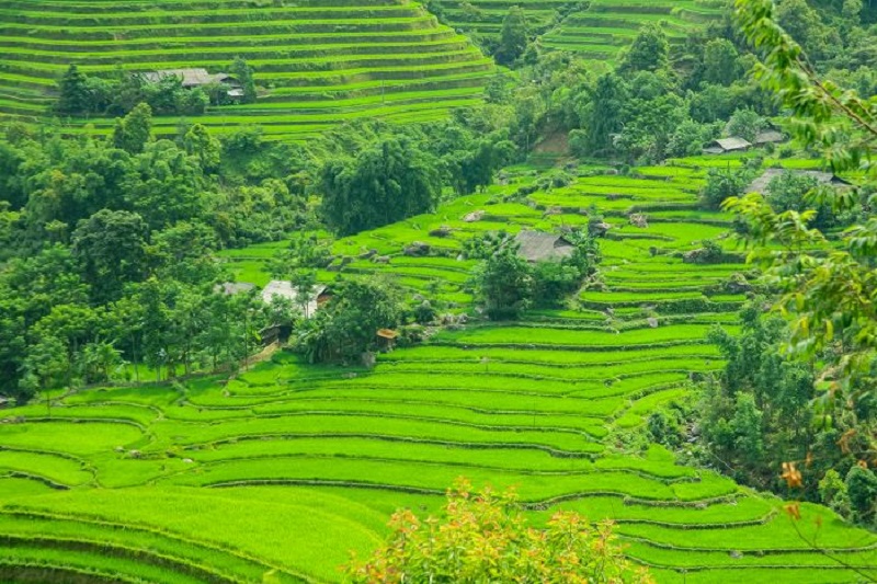 What is beautiful about traveling to Sapa in July 20 whatisbeautifulabouttravelingtosapainjuly3