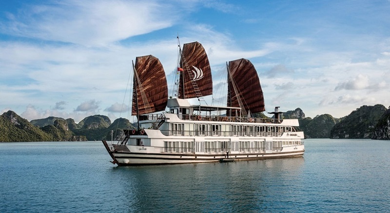 5-star cruise on Bai Tu Long Bay 19 5 starcruiseonbaitulongbay24