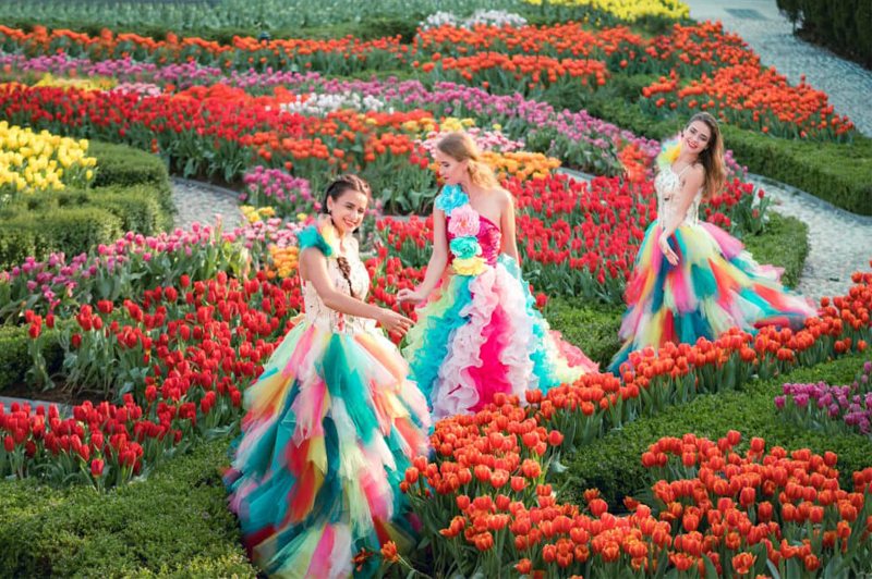 Ba Na Tulip Festival 73 banatulipfestival