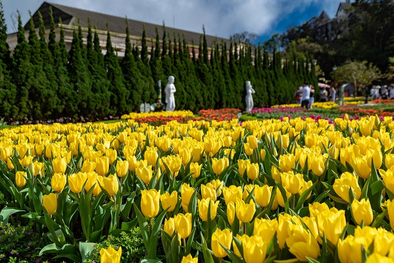 Ba Na Tulip Festival 21 banatulipfestival20