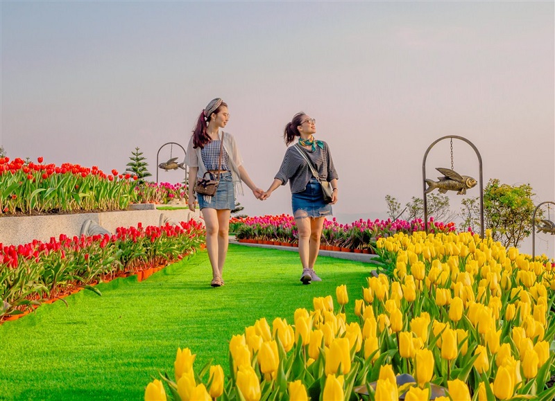 Ba Na Tulip Festival 15 banatulipfestival6
