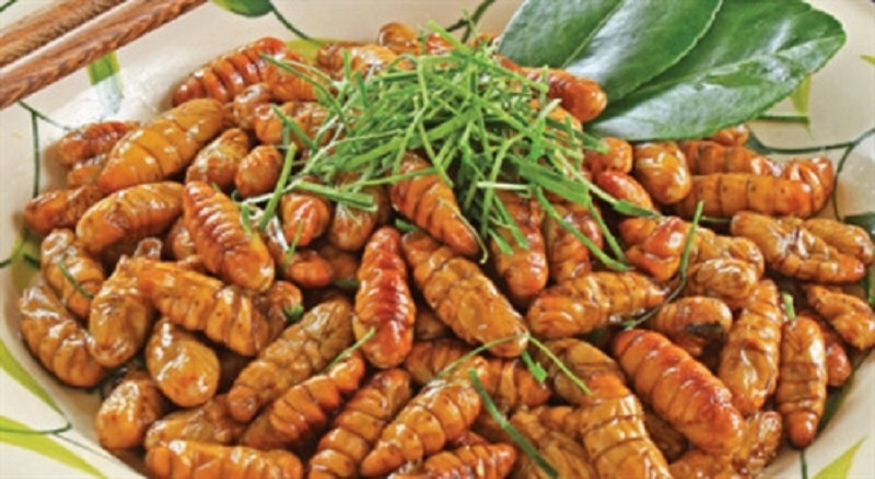 Bay trên mùa vàng Mù Cang Chải 22 baytrenmuavangmucangchai24