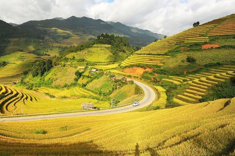 Đi du lịch Mộc Châu mùa lúa chín vào tháng mấy 9 didulichmocchaumualuachinvaothangmay1