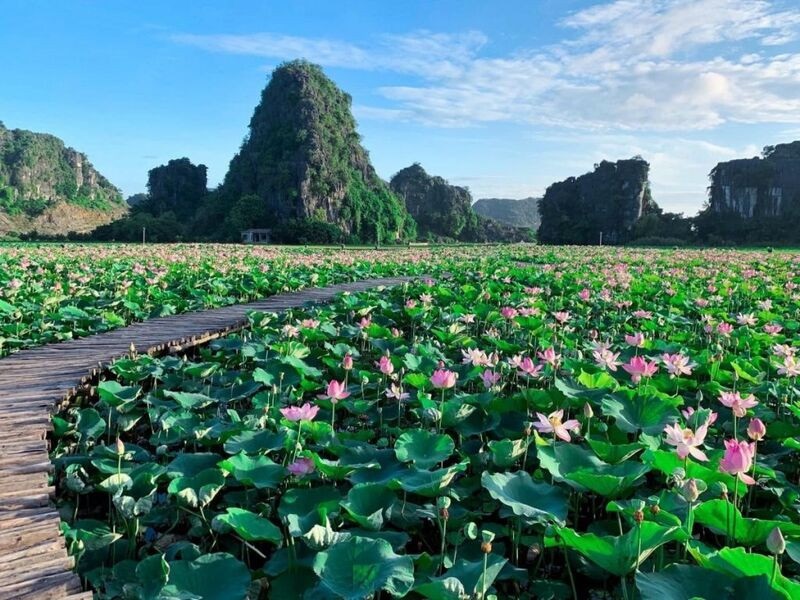 Đi du lịch Ninh Bình tháng 8 có gì đẹp 9 didulichninhbinhthang8cogidep1