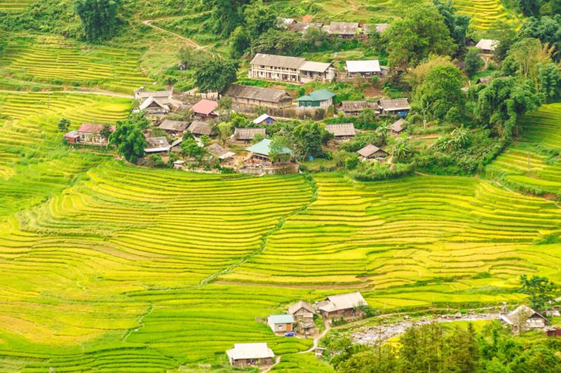 Đi du lịch Sapa tháng 9 có gì đẹp 8 didulichsapathang9cogidep