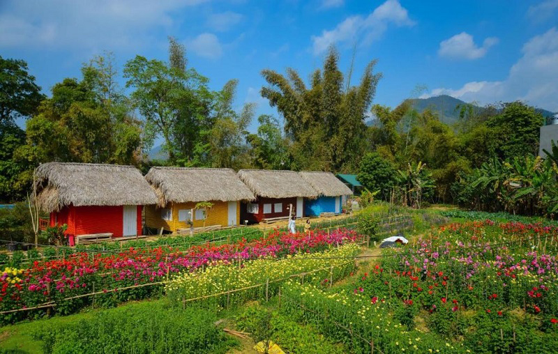 Du lịch Cao Bằng tháng 9 có gì đẹp 14 dulichcaobangthang9cogidep5