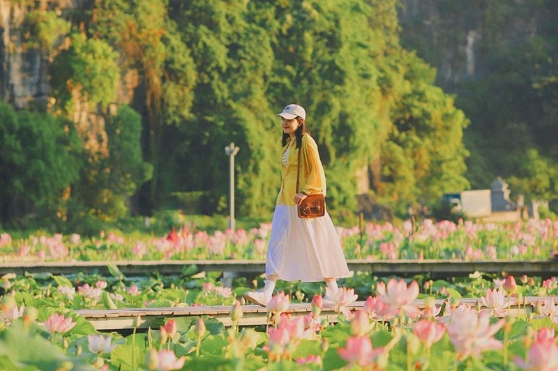 Những điểm du lịch Ninh Bình tháng 8 bạn nên biết 84 dulichninhbinhthang8ogidep