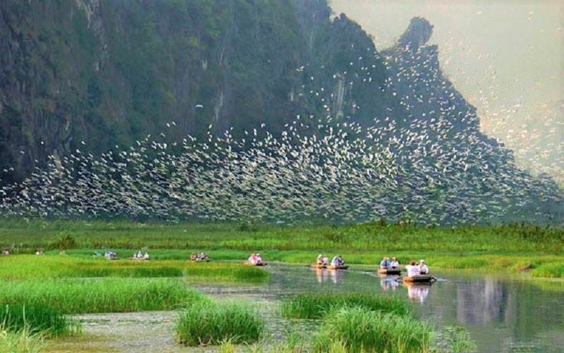 Những điểm du lịch Ninh Bình tháng 8 bạn nên biết 14 dulichninhbinhthang8ogidep7