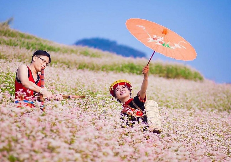 Mùa hoa tam giác mạch Hà Giang tháng mấy đẹp nhất 17 muahoatamgiacmachhagiangthangmay2 1