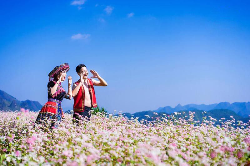 Mùa hoa tam giác mạch Hà Giang tháng mấy đẹp nhất 16 muahoatamgiacmachhagiangthangmay3