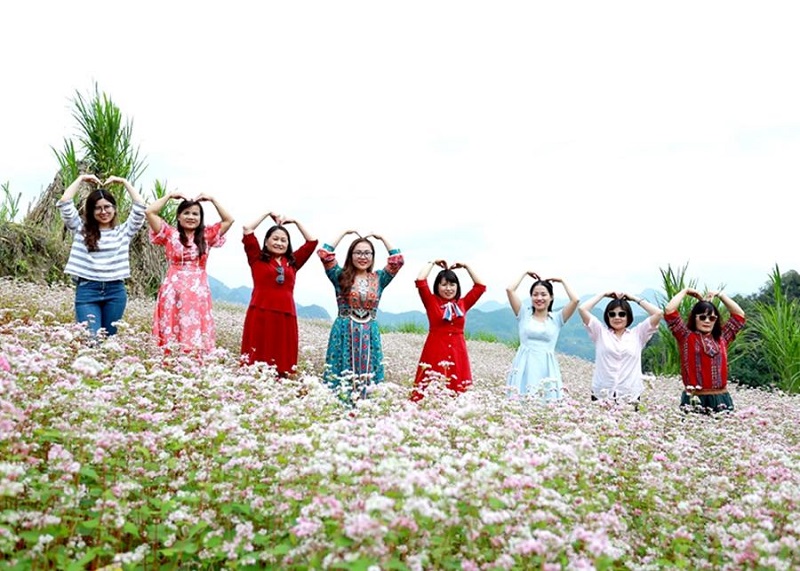 Mùa hoa tam giác mạch Hà Giang tháng mấy đẹp nhất 18 muahoatamgiacmachhagiangthangmay4 1