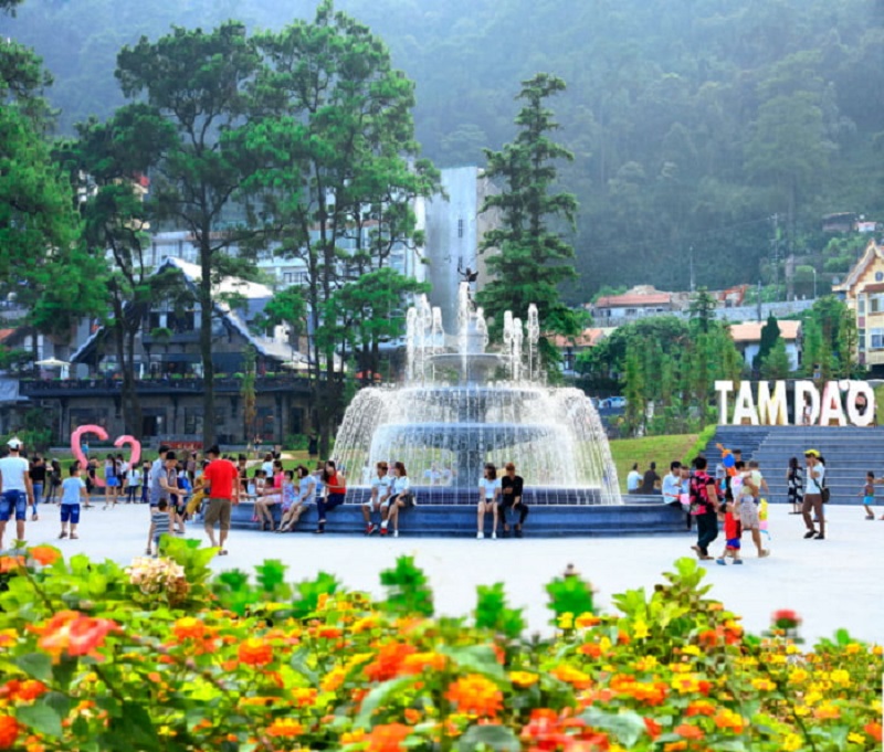 Những điểm check in tại Tam Đảo 18 nhungdiemcheckintaitamdao6