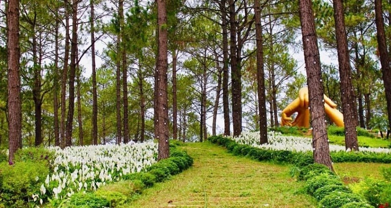 Top 5 điểm check in bên mùa hoa cải trắng Mộc Châu 9 top5diemcheckinbenmuahoacaitrangmocchau2