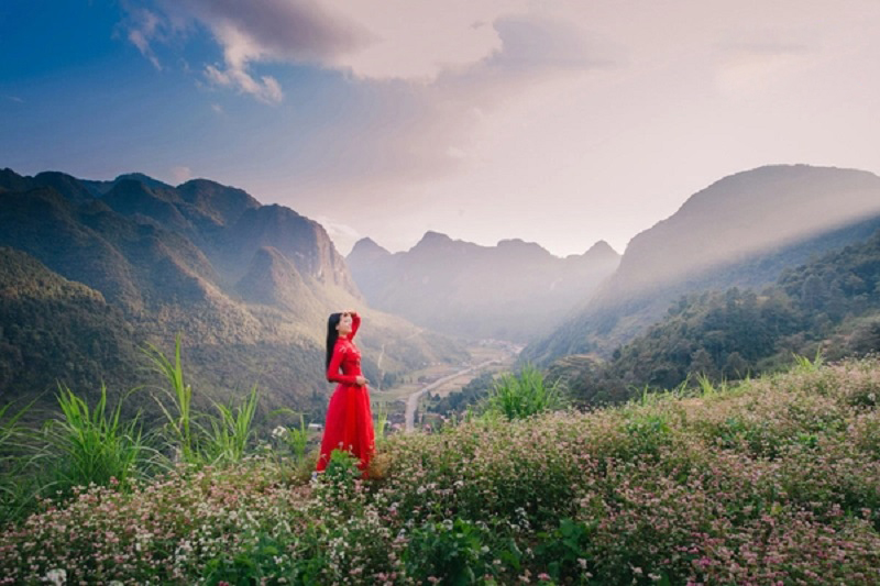 Traveling to Ha Giang in buckwheat flower season 11 travelingtohagianginbuckwheatflowerseason6