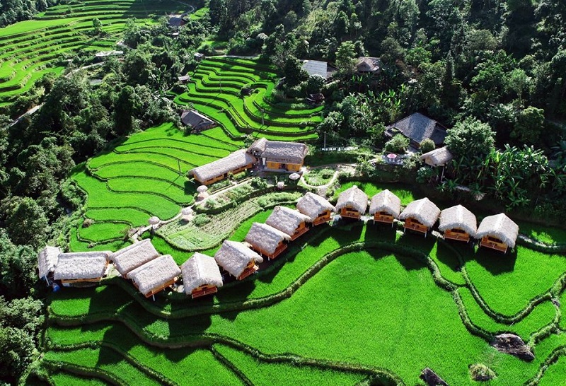 Vẻ đẹp ruộng bậc thang Hoàng Su Phì mùa lúa xanh 9
