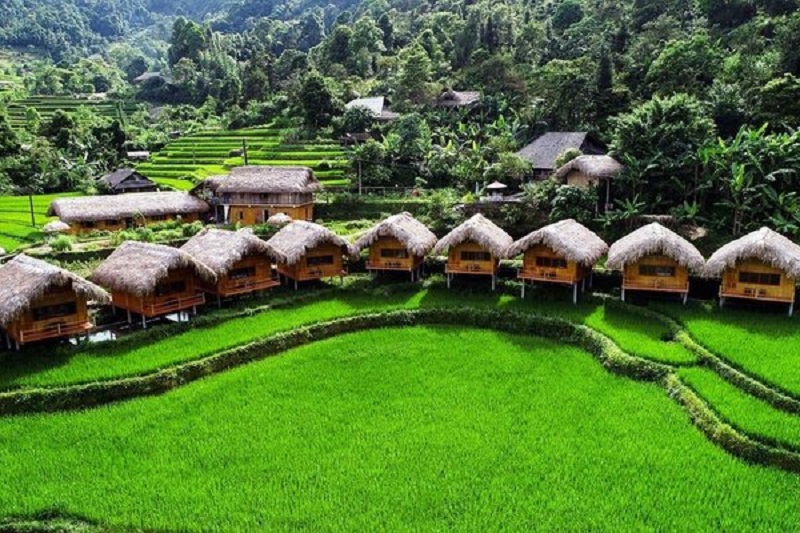 Vẻ đẹp ruộng bậc thang Hoàng Su Phì mùa lúa xanh 10