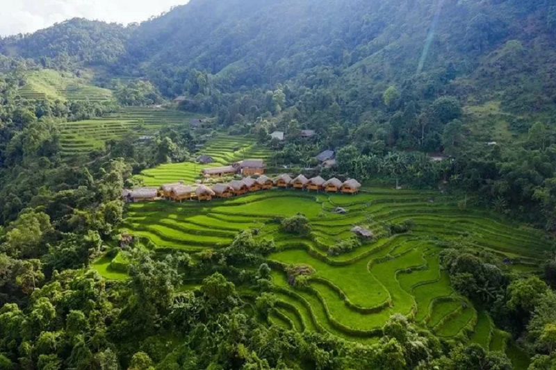 Vẻ đẹp ruộng bậc thang Hoàng Su Phì mùa lúa xanh 13