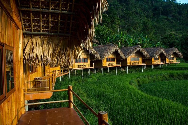 Vẻ đẹp ruộng bậc thang Hoàng Su Phì mùa lúa xanh 12