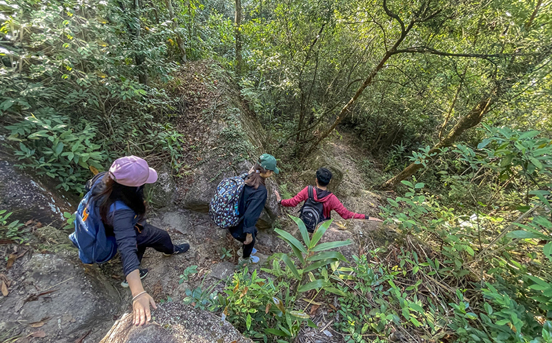 Visit the beauty of Da Chong Mountain 13 visitthebeautyofdachongmountain5