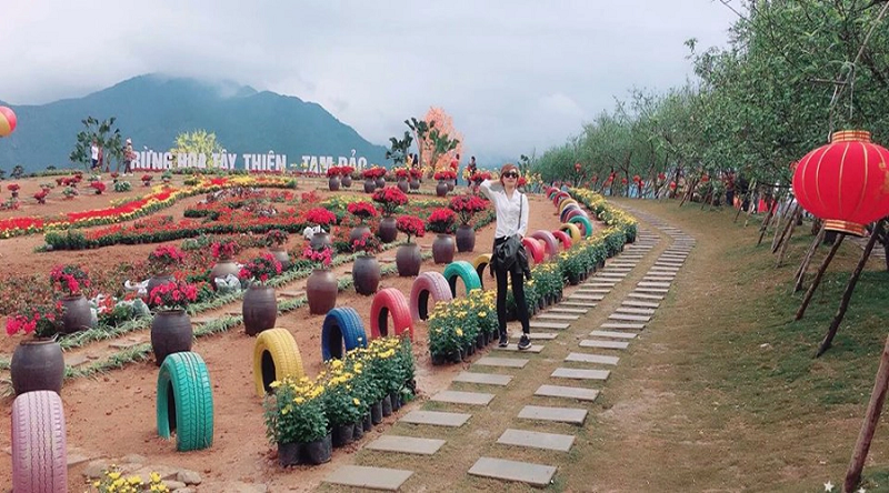 Vườn Hoa Tây Thiên Tam Đảo 9 vuonhoataythientamdao1