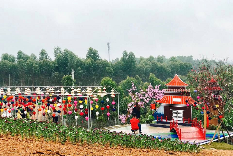 Vườn Hoa Tây Thiên Tam Đảo 10 vuonhoataythientamdao2