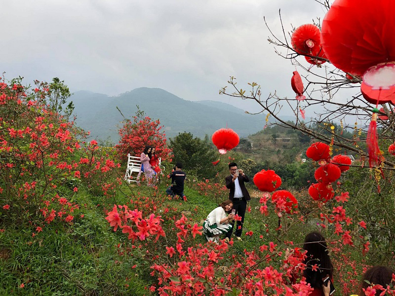 Vườn Hoa Tây Thiên Tam Đảo 11 vuonhoataythientamdao7