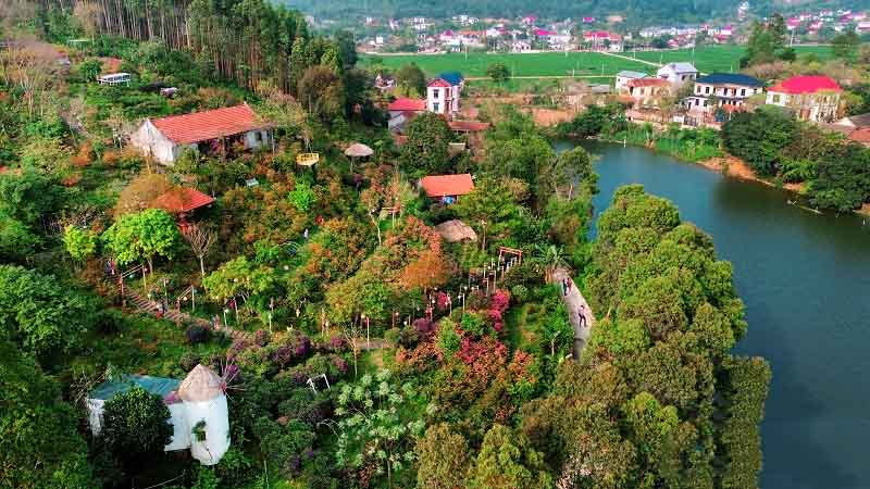 Vườn Quốc gia Tam Đảo 12 vuonquocgiatamdao3