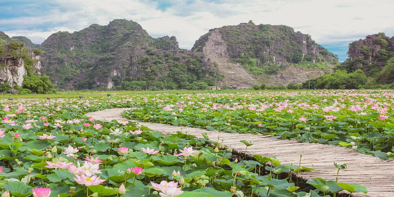 What is beautiful about traveling to Ninh Binh in August 16 whatisbeautifulabouttravelingtoninhbinhinaugust5