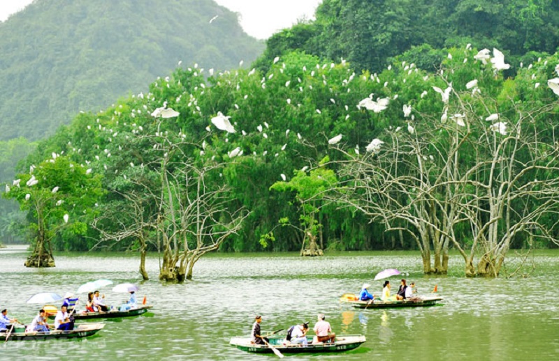 What is beautiful about traveling to Ninh Binh in August 15 whatisbeautifulabouttravelingtoninhbinhinaugust6