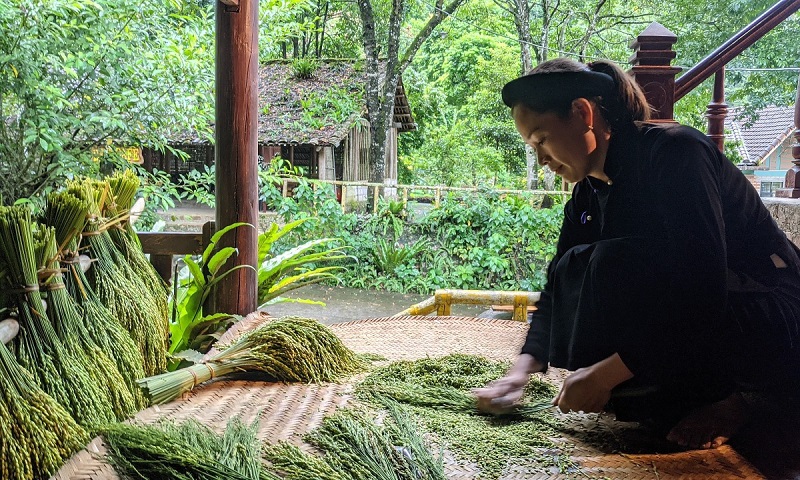 Đi du lịch Cao Bằng mùa thu 13 didulichcaobangmuathu5