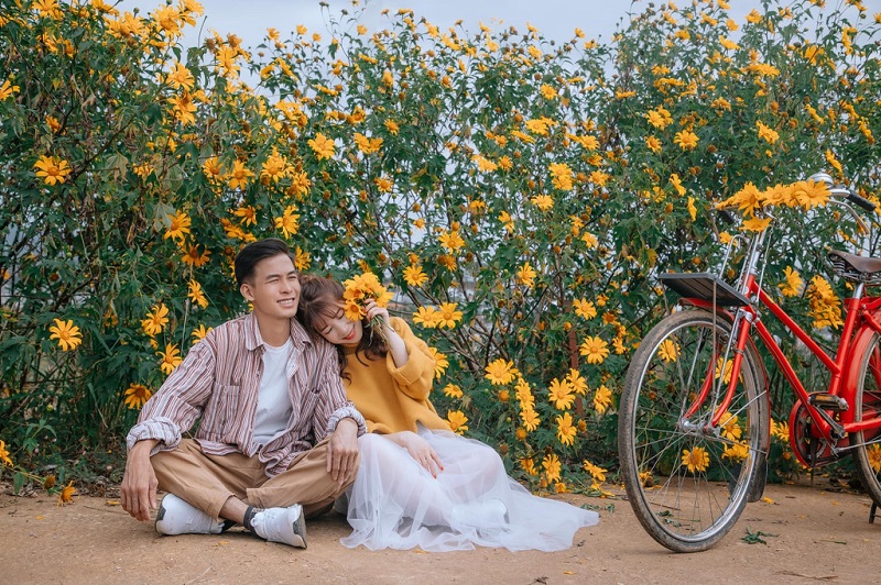 Đi du lịch Đà Lạt mùa hoa dã quỳ 9 didulichdalatmuahoadaquy