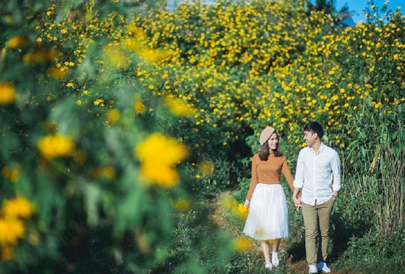 Đi du lịch Đà Lạt mùa hoa dã quỳ 14 didulichdalatmuahoadaquy5