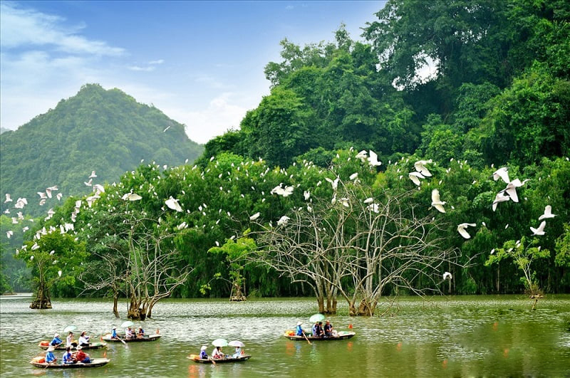 Du lịch Ninh Bình tháng 9 có gì đẹp 10 dulichninhbinhthang9cogidep1