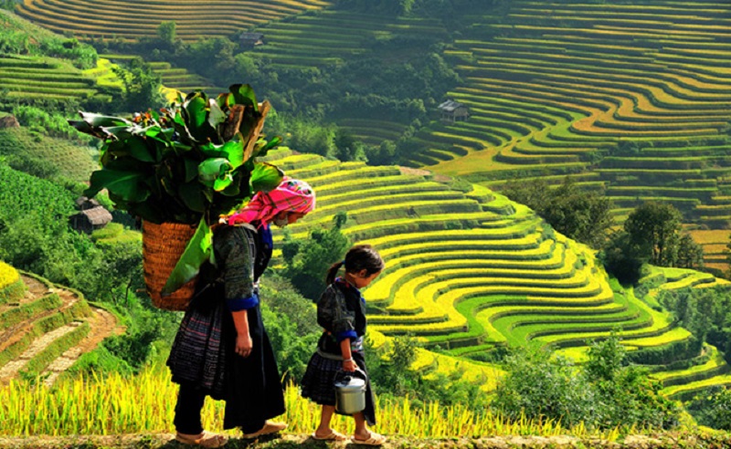 Du lịch sapa tháng 9 có gì đẹp 8 dulichsapathang9cogidep