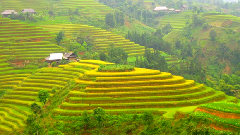 Top 10 điểm du lịch Miền Bắc tháng 9 17 top10diemdulich mienbacthang9