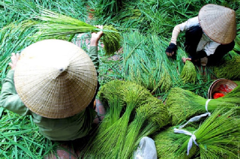 Top 9 traditional craft villages in Hanoi 16 top9traditionalcraftvillagesinhanoi4