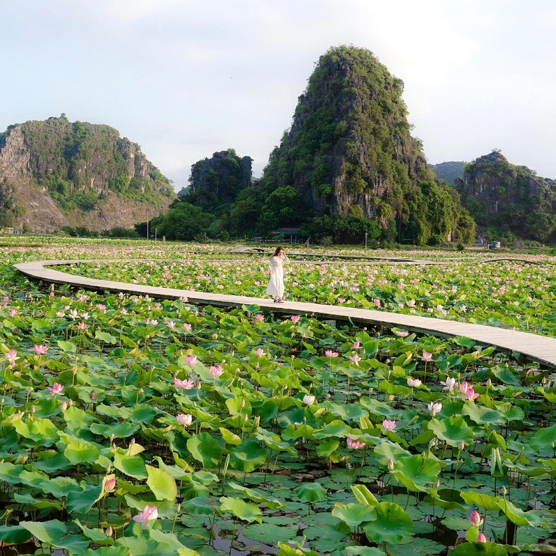 Trang An Ninh Binh which season is the best to visit 13 tranganninhbinhwhichseasonisthebesttovisit3