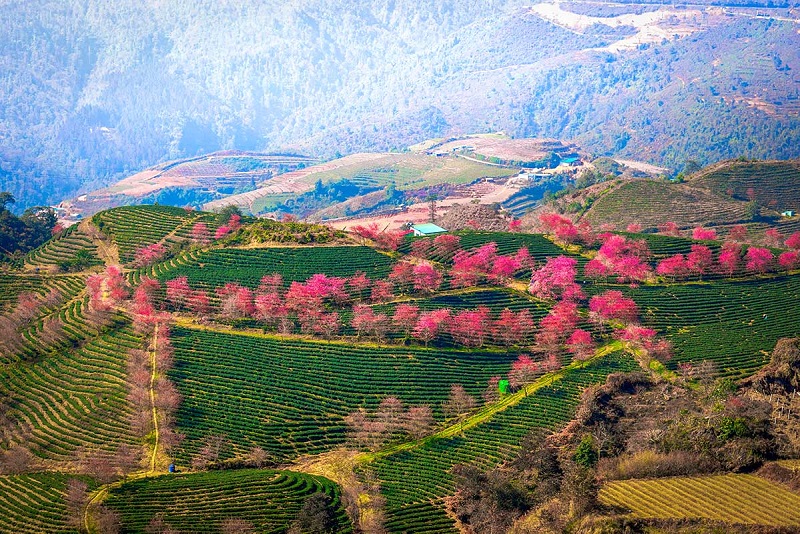 What is beautiful about Sapa tourism in October 23 whatisbeautifulaboutsapatourisminoctober12