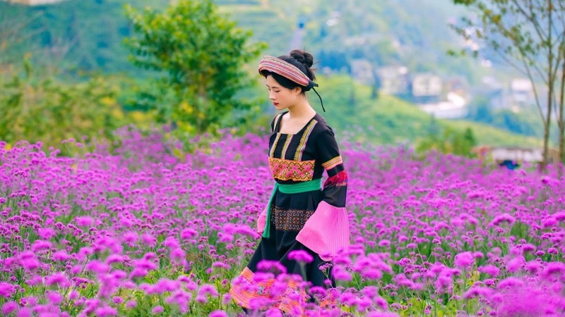 What is beautiful about Sapa tourism in October 14 whatisbeautifulaboutsapatourisminoctober2