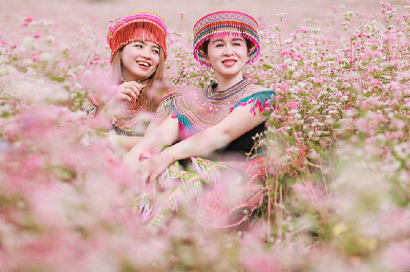 When is the buckwheat flower season in Ha Giang 13 whenisthebuckwheatflowerseasoninhagiang1