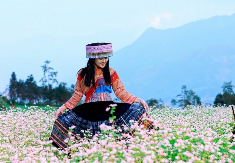 When is the buckwheat flower season in Ha Giang 14 whenisthebuckwheatflowerseasoninhagiang2