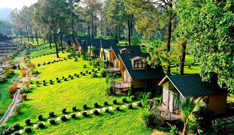 Đi du lịch Mộc Châu tết nên tham quan những đâu 16 didulichmocchautetnenthamquannhungdau4