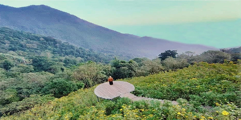 Đi du lịch Tam Đảo tháng 11 có gì đẹp 11 didulichtamdaothang11cogidep