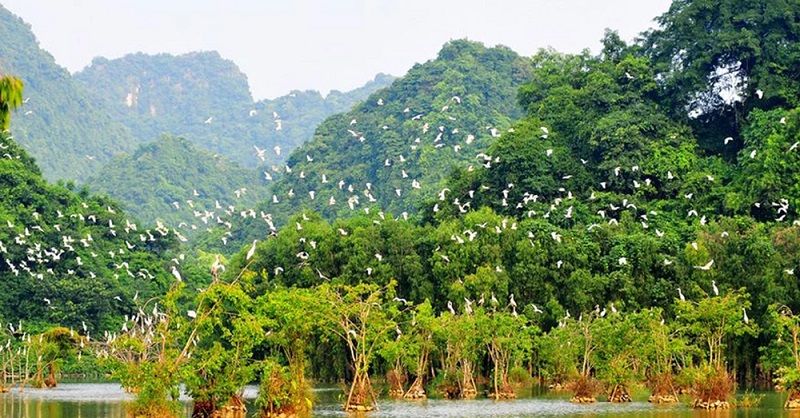 Du lịch Binh Bình tháng 12 có gì đẹp 57 dulichninhbinhthang12cogidep