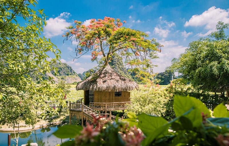 Du lịch Binh Bình tháng 12 có gì đẹp 13 dulichninhbinhthang12cogidep2