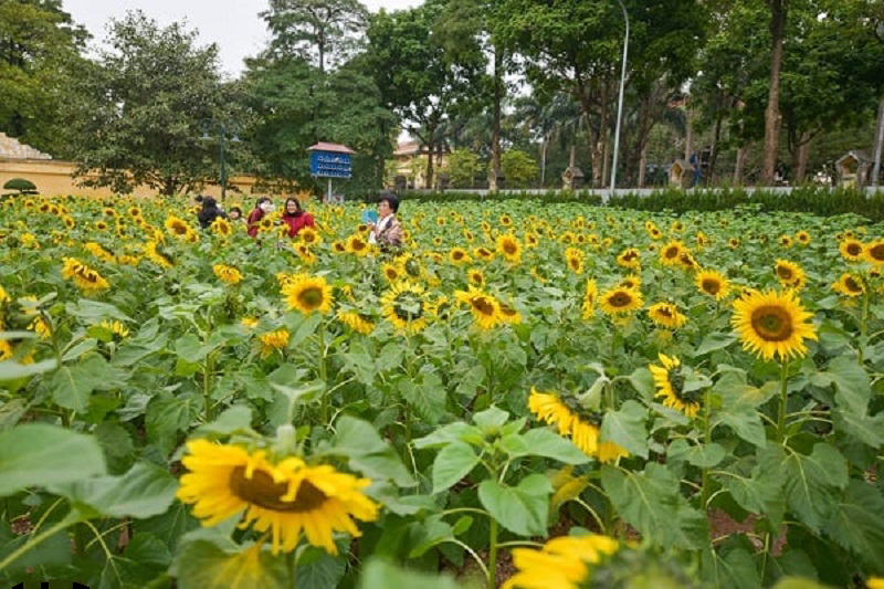 Top 10 hottest check-in spots in Hanoi 16 top10hottestcheck inspotsinhanoi4