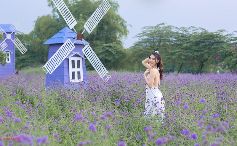 Top 10 hottest check-in spots in Hanoi 20 top10hottestcheck inspotsinhanoi8