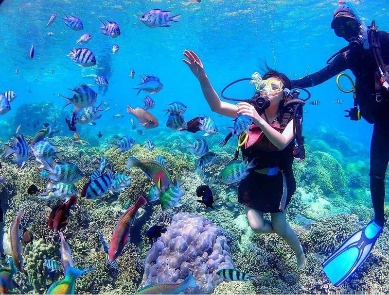 Top 5 coral diving spots you should know 72 top5coraldivingspotsyoushouldknow
