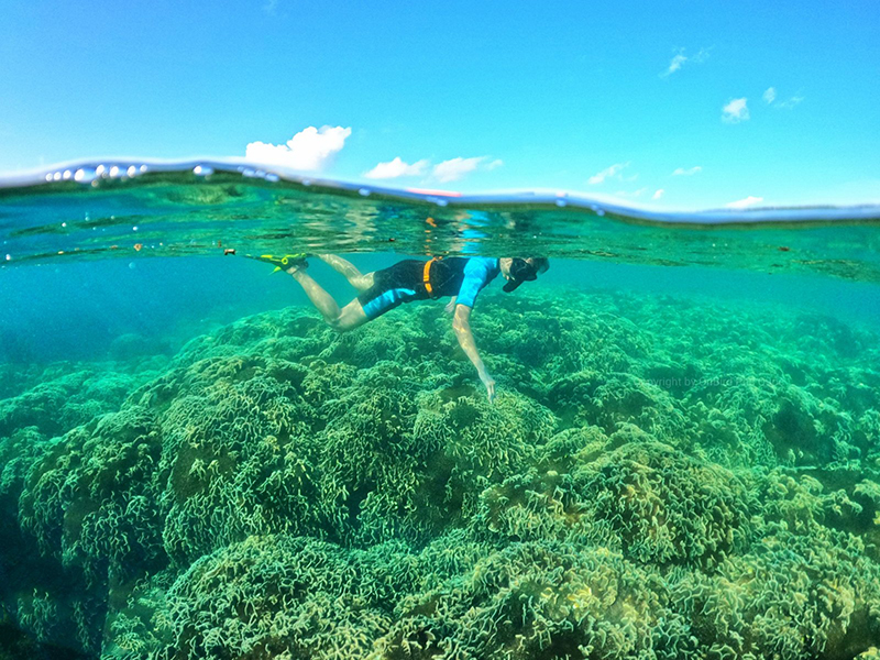 top5coraldivingspotsyoushouldknow2