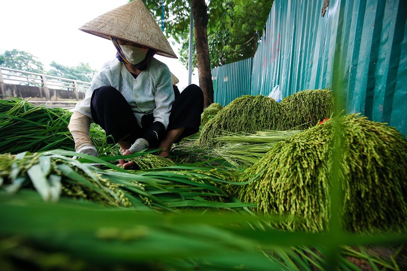 Traveling to Hanoi and visiting traditional handicraft villages 24 travelingtohanoiandvisitingtraditionalhandicraftvillages11